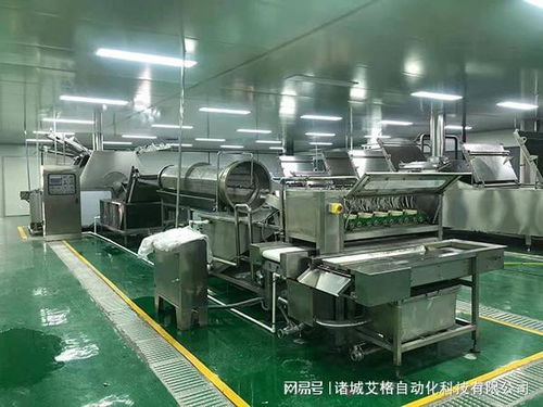 探秘诸城艾格自动化 解锁鹌鹑蛋加工全流程设备奥秘与技术服务